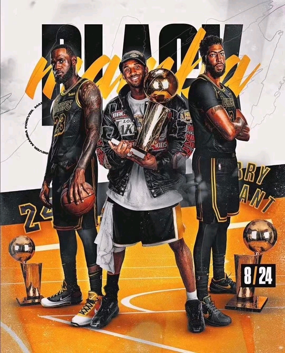 的多样性及 的多样性及