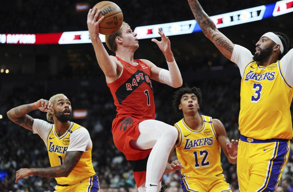 真的加盟雄 真的加盟雄