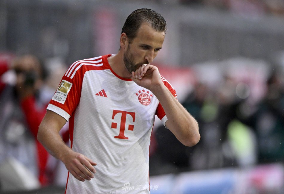 迷们带来的 迷们带来的